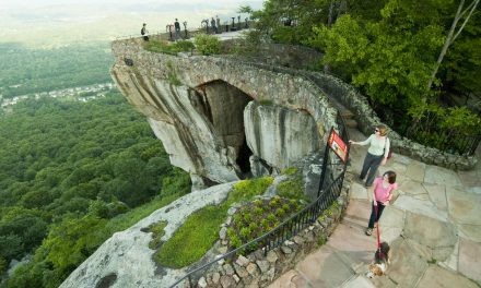 We Volunteer These 4 Cities for a Tennessee Reunion