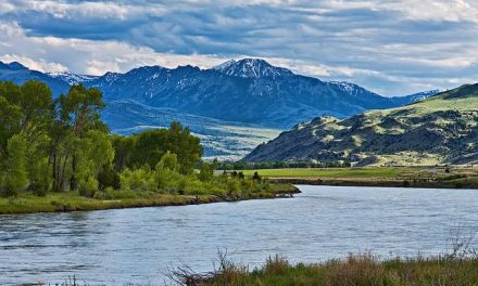 11 Magical Montana Reunion Locations for Travel Groups