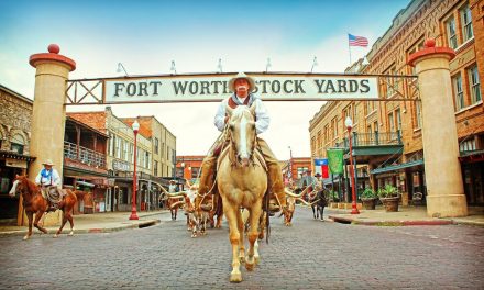 Round Up Your Family for a Fort Worth Reunion