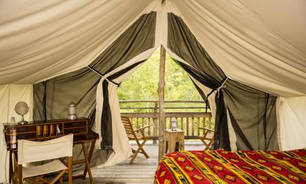 What is Glamping, and Why is it Great for Reunion Groups?
