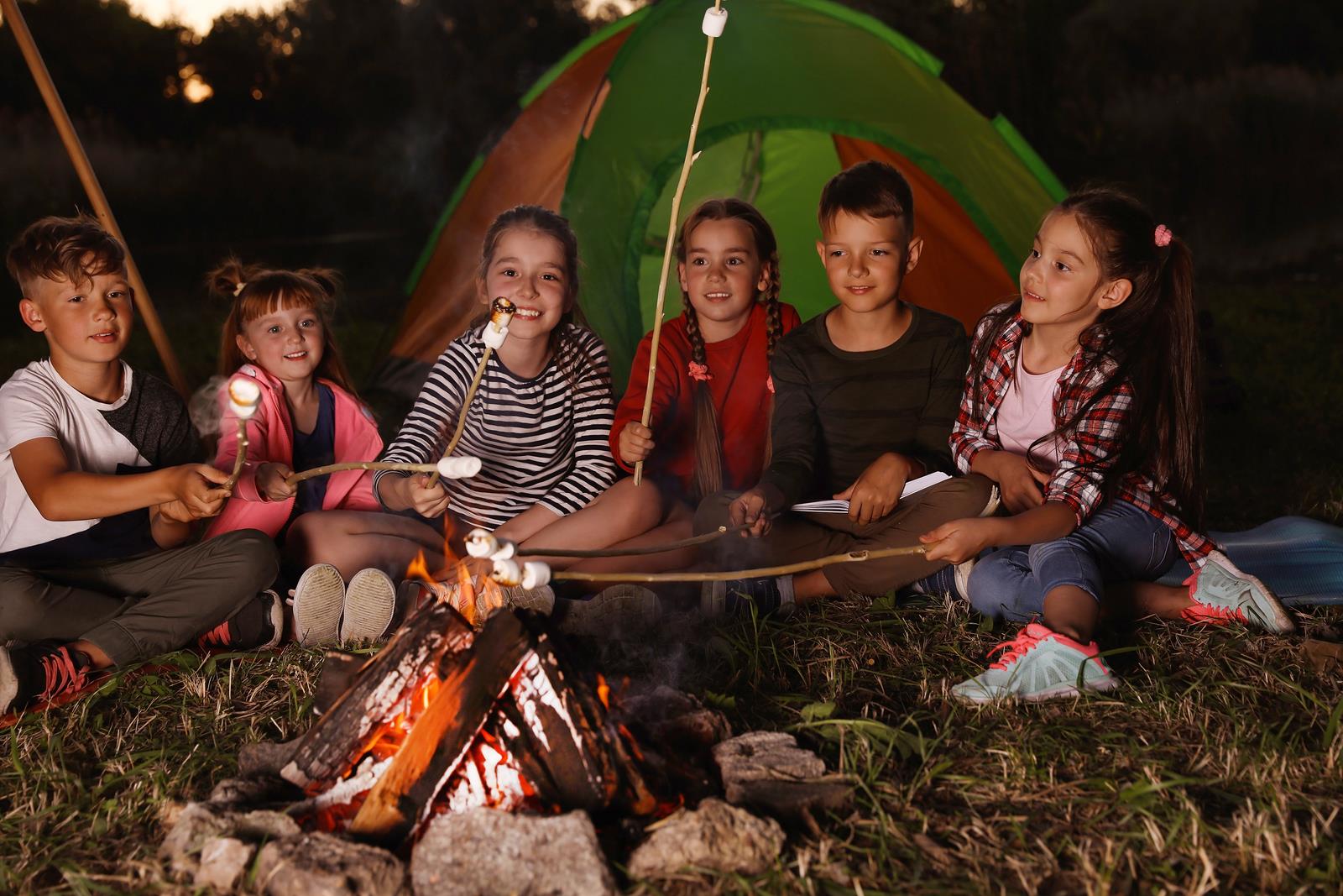 Little Children Frying Marshmallows On Bonfire. Summer Camp