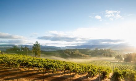 5 of the Most Beautiful Destinations for Wine-Lovers