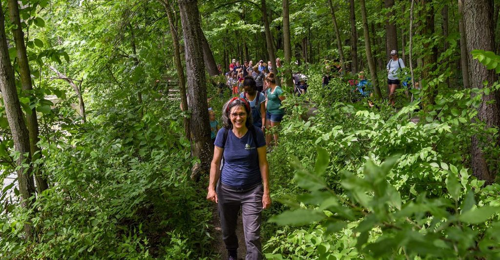 Hiking through forest preserves