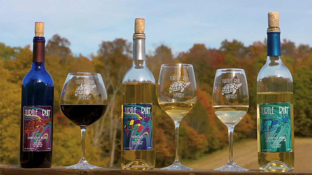 Turtle Run Winery