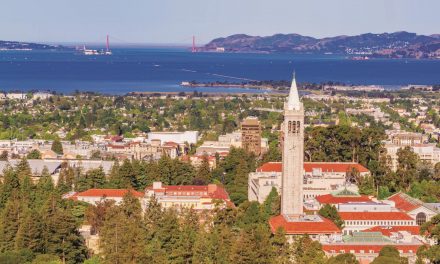 Berkeley is Beautiful at all Times of the Year