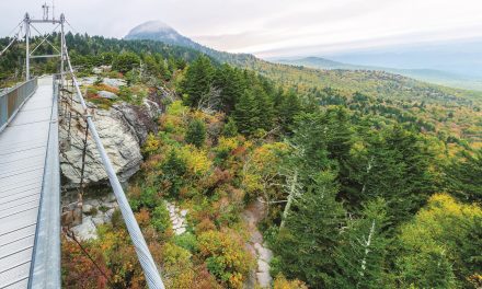 Grandfather Mountain is the Crown Jewel of the Tar Heel State
