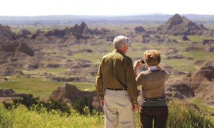 Road Trips with Adults, Kids and Retired Parents