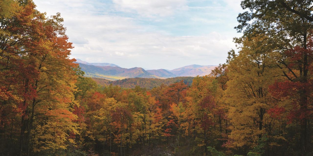 A Smoky Mountain Road Trip Uncovers Unexpected Gems