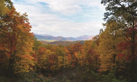 A Smoky Mountain Road Trip Uncovers Unexpected Gems