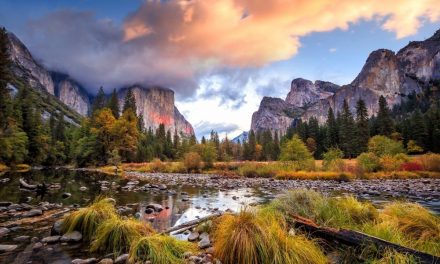 Top 4 Tips for Visiting Yosemite With Your Family