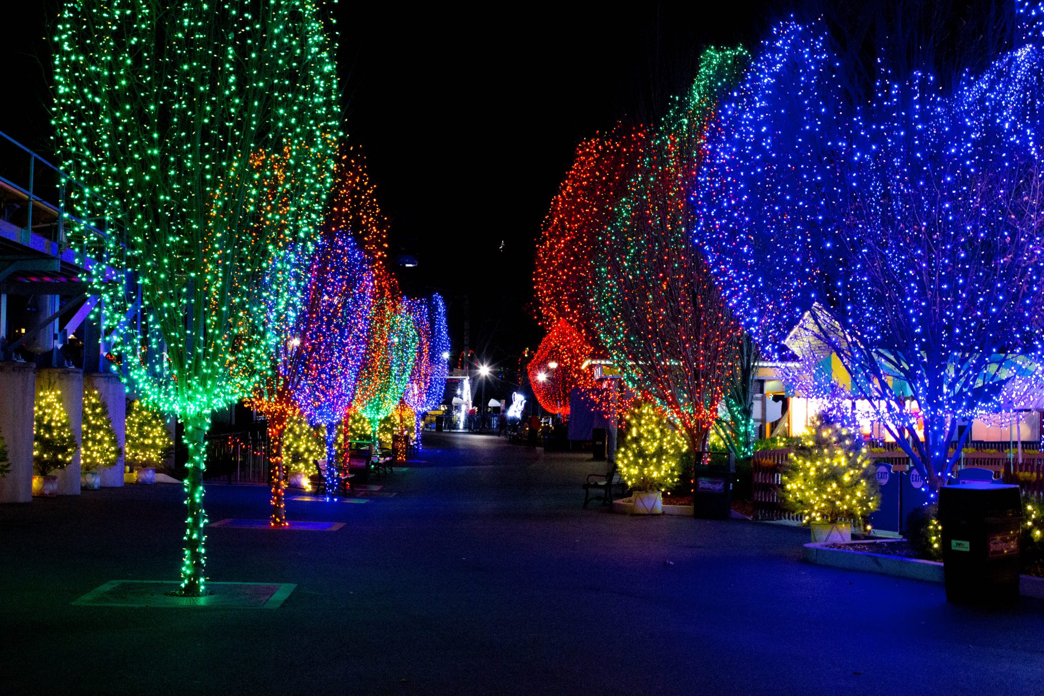 21 Top Christmas Light Shows in the U.S. to Brighten the Holidays