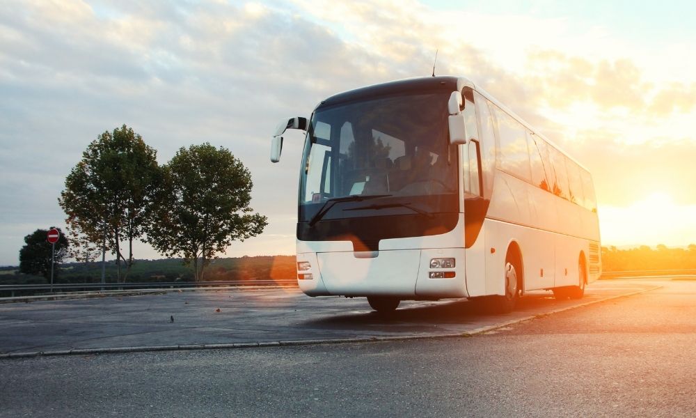 Why You Should Rent a Charter Bus for Your Family Reunion
