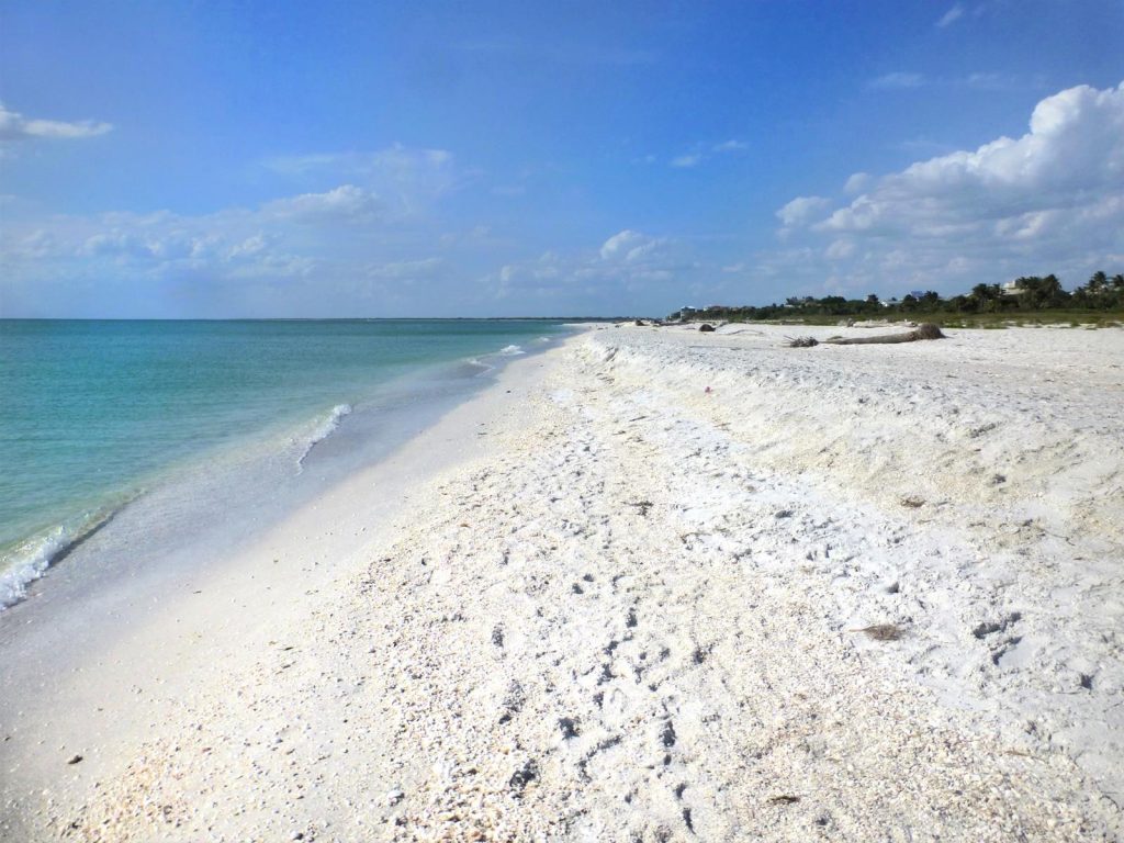 North Captiva Island's uncrowded white sand beaches are covered with shells. Photo courtesy of Nancy Schretter