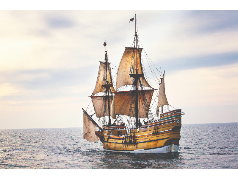 Ply ClaireMacPherson Mayflowerii sailalong vcopy