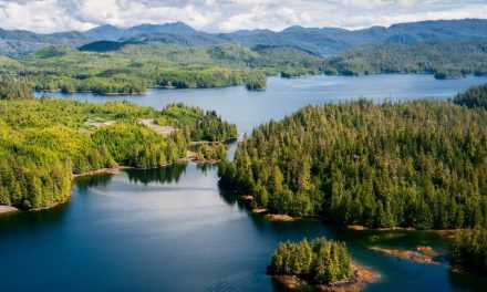 The Most Compelling Reasons To Visit Alaska