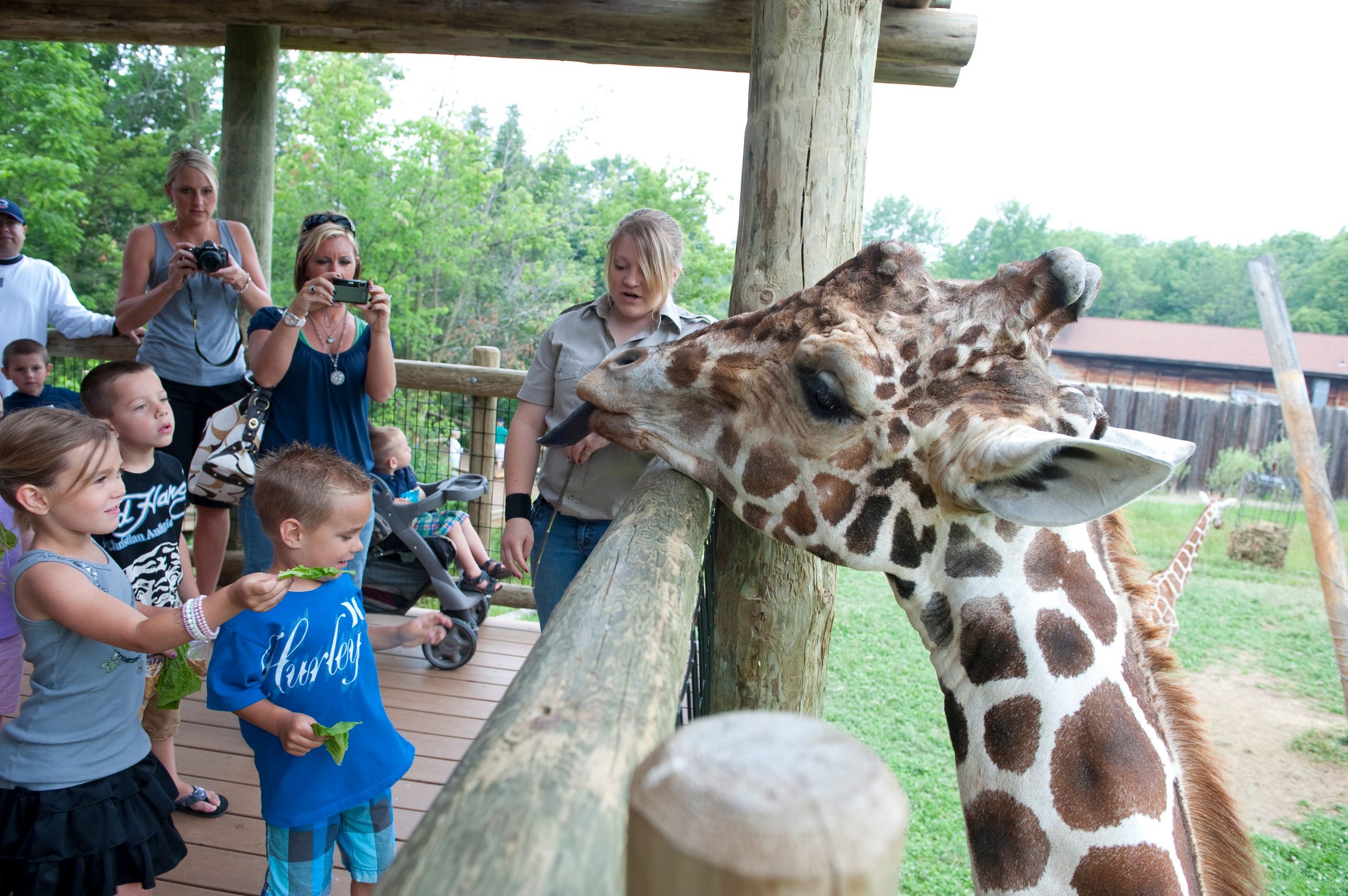 The Fort Wayne Children’s Zoo is a must-do for families visiting Fort Wayne. (Photo credit: Fort Wayne Children’s Zoo)