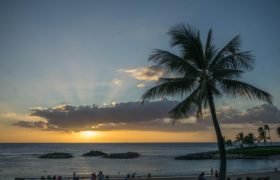The Best Hawaii Resorts for Fun Family Reunions