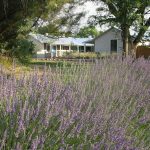 Farm Stay Locations for Your Upcoming Family Reunion