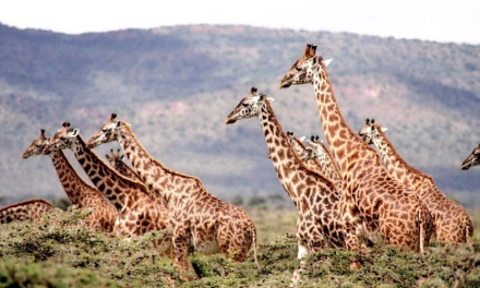 Affordable Luxury Travel Ideas