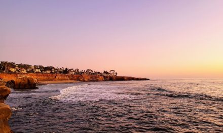 Top 5 Things For Families To Do In San Diego
