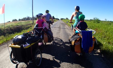 Try These Healthy Snacks for Family Road Trips