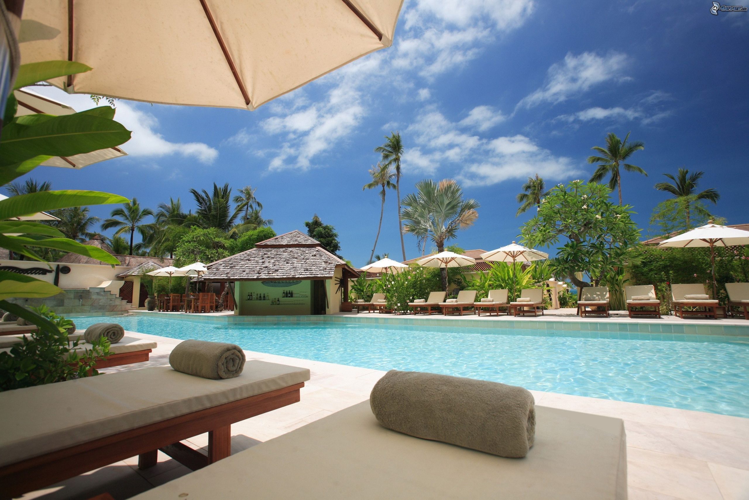 Members in hotel rewards programs may receive a complimentary night at any of the brand’s hotels or resorts worldwide.