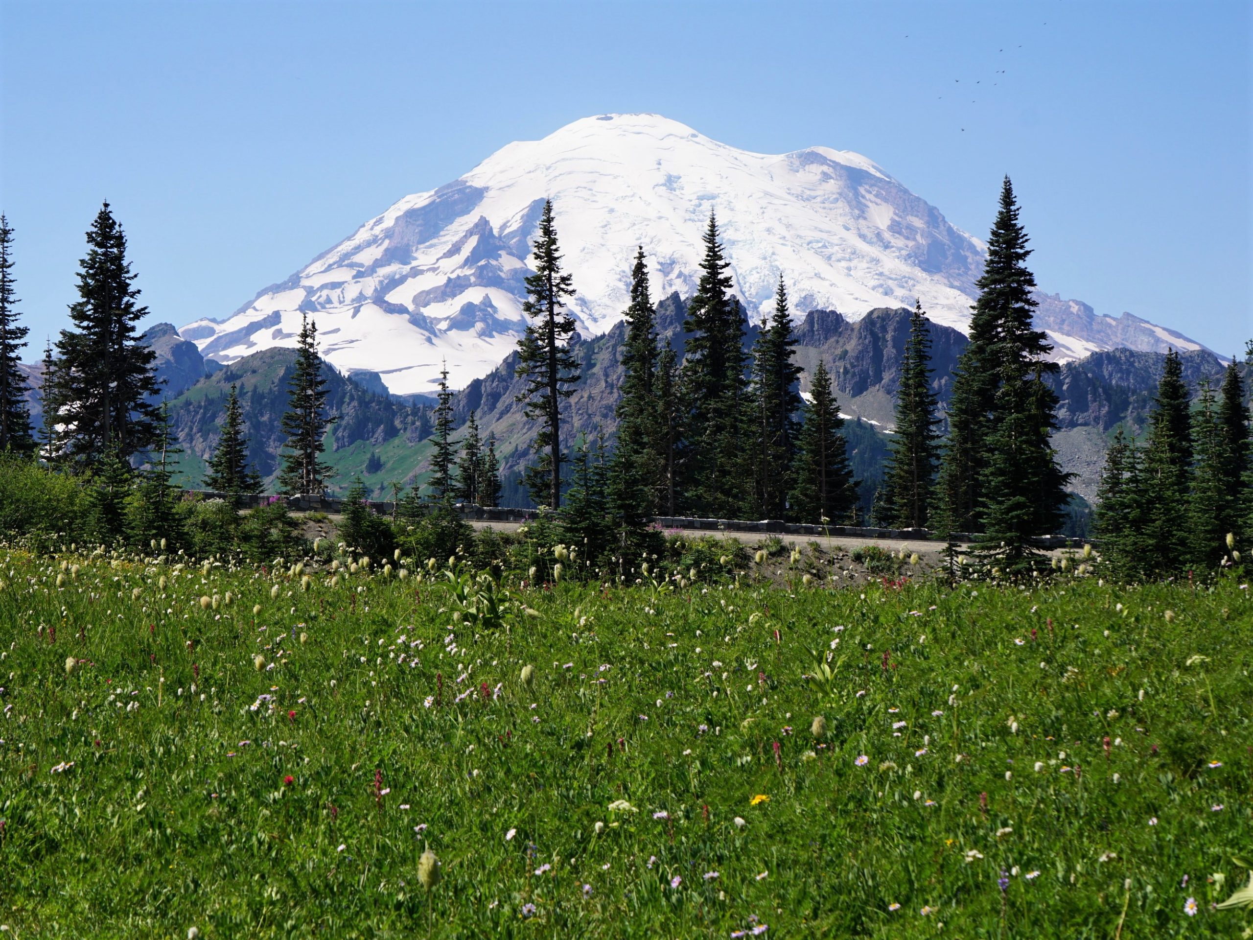 The meadows around Tipsoo Lake are filled with wildflowers and offer views of Mount Rainier. Photo courtesy of the U.S. National Park Service